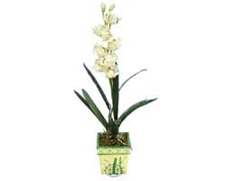 zel Yapay Orkide Beyaz   Antalya online ieki , iek siparii 