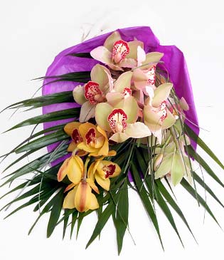  Antalya cicekciler , cicek siparisi  1 adet dal orkide buket halinde sunulmakta