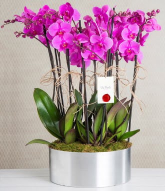 11 dall mor orkide metal vazoda  Antalya iek gnderme sitemiz gvenlidir 