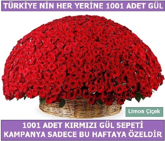 1001 Adet krmz gl Bu haftaya zel  Antalya nternetten iek siparii 