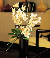  Antalya iekiler  cam yada mika vazo ierisinde dal orkide