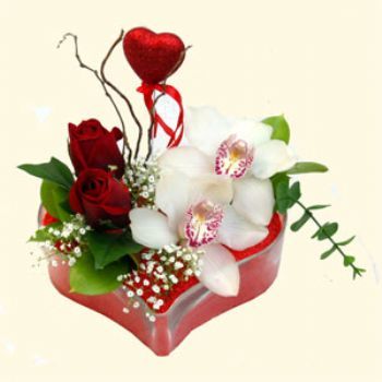  Antalya hediye sevgilime hediye iek  1 kandil orkide 5 adet kirmizi gl mika kalp