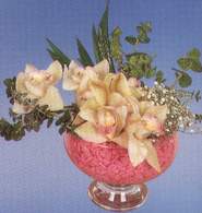  Antalya iek maazas , ieki adresleri  Dal orkide kalite bir hediye